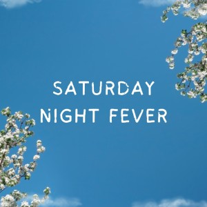 Album Saturday Night Fever from Cosmic