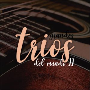 Listen to Corazoncito de Papel song with lyrics from Trio Vegabajeno
