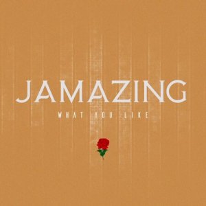 收聽Jamazing的What You Like歌詞歌曲