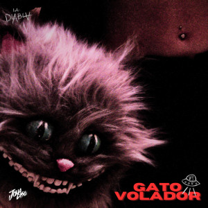 ดาวน์โหลดและฟังเพลง Gato Volador (Explicit) พร้อมเนื้อเพลงจาก Es La Diabla