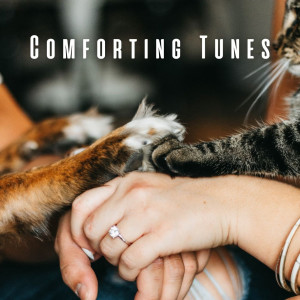 Comforting Tunes: Lofi Tracks and Chill Music for Pets