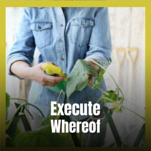 收聽Bere Keti的Execute Whereof歌詞歌曲