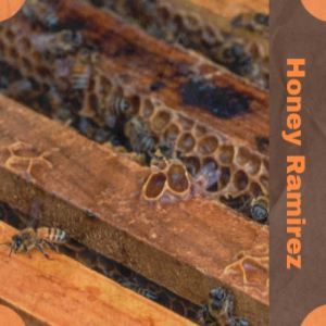 收听Jerina的Honey Ramirez歌词歌曲