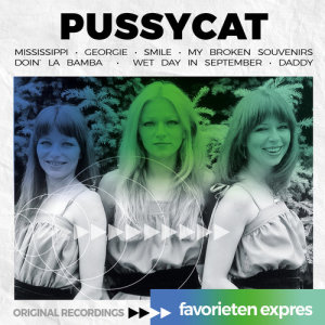 ดาวน์โหลดและฟังเพลง My Broken Souvenirs พร้อมเนื้อเพลงจาก Pussycat