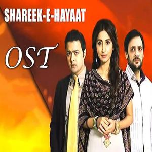 Listen to Shareek E Hayat song with lyrics from Sahir Ali Bagga