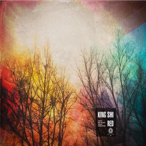 Listen to Visions song with lyrics from King Shi