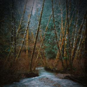 อัลบัม Peaceful Water Creek Sounds for Instant Relaxation and Stress Relief ศิลปิน Zen Music Garden