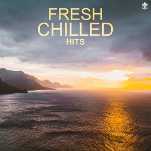 Album Fresh Chilled Hits from Various