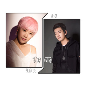 Album 细雨 from 张欣奕