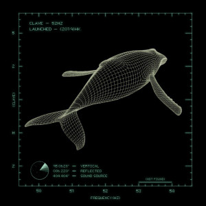 Listen to 52 Hertz song with lyrics from Clave