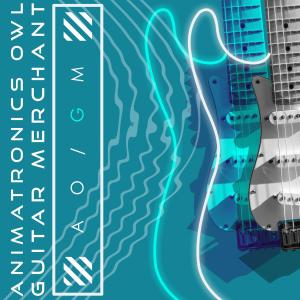 Album Guitar Merchant from 
