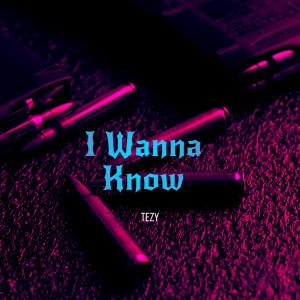 收聽TEZY的I Wanna Know (Explicit)歌詞歌曲