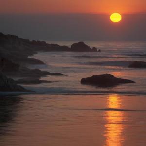 收聽Levi的Amanecer歌詞歌曲