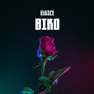 Elgize的专辑Biko