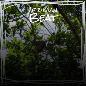 Album Afrikaan Beat from Silvia Natiello-Spiller