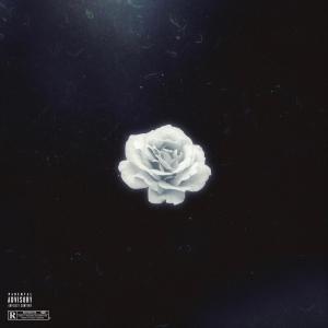 Listen to Fogli (Explicit) song with lyrics from Lil Key