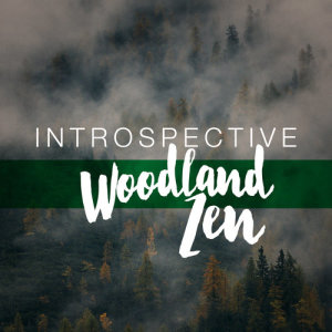 Album Introspective Woodland Zen from Mediation Sounds of Nature