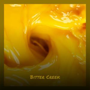 Various Artist的專輯Bitter Creek