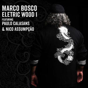 收聽Marco Bosco的Electricwood I (feat. Nico Assumpção & Paulo Calasans)歌詞歌曲