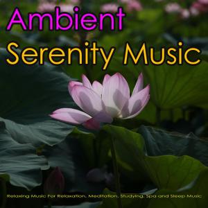Album Ambient Serenity Music: Relaxing Music For Relaxation, Meditation, Studying, Spa and Sleep Music from Stress Relief Therapy Music Academy