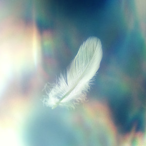 Lakewood Music Español的專輯Habita (Live)