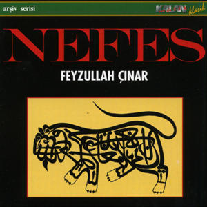 ดาวน์โหลดและฟังเพลง Yaralar Beni พร้อมเนื้อเพลงจาก Feyzullah Çinar