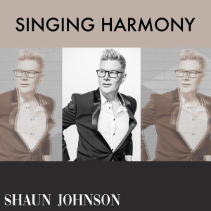 ดาวน์โหลดและฟังเพลง Singing Harmony (feat. Bryan White) พร้อมเนื้อเพลงจาก Shaun Johnson Big Band Experience