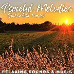 Relaxing Sounds的專輯Peaceful Melodies in Wonderland (Instrumental Music)