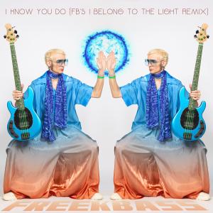 Freekbass的專輯I Know You Do (FB's I Belong To The Light Remix)