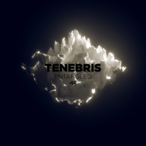 收听Tenebris的Vassal歌词歌曲