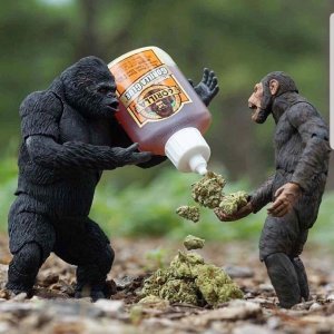 Dengarkan lagu On me nyanyian Pat dengan lirik