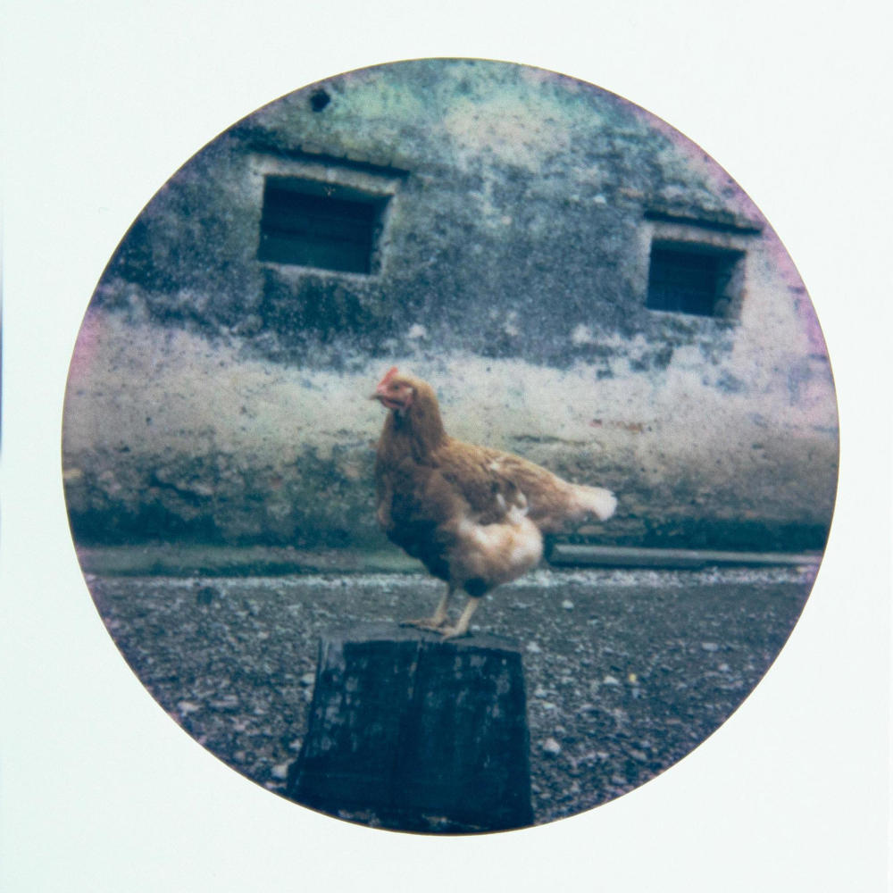 Menura (Versione Acustica)
