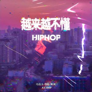 Album 越来越不懂hip-hop from A1 TRIP