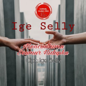 Dengarkan Mencintaimu Seumur Hidupku lagu dari Ige Selly dengan lirik