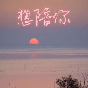 Album 想陪你 from 锦尚韵迪