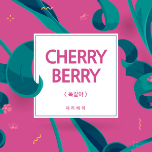收聽체리베리的一樣歌詞歌曲