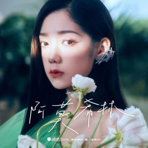 Listen to Mirror song with lyrics from 希林娜依高