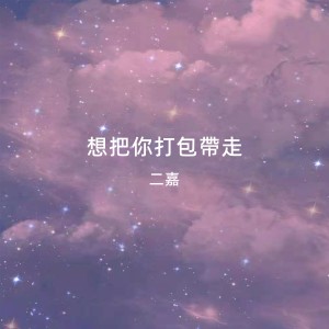 ดาวน์โหลดและฟังเพลง 想把你打包带走 (伴奏) พร้อมเนื้อเพลงจาก 二嘉