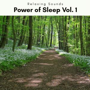 2022 Power of Sleep Vol. 1