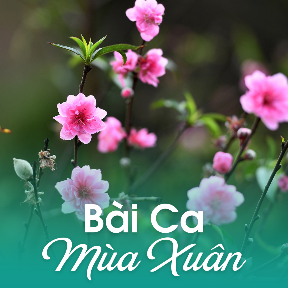 Bài ca may áo