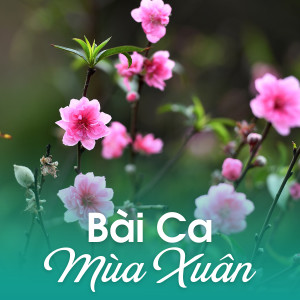 收聽Quang Lý的Đôi mắt歌詞歌曲