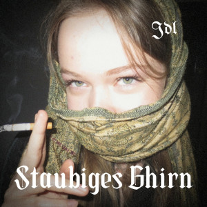 Listen to Staubiges Ghirn (Explicit) song with lyrics from JDL