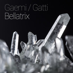 Listen to Bellatrix (Black Peters Remix) song with lyrics from Gaemi