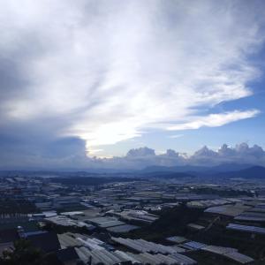 ดาวน์โหลดและฟังเพลง winter leaves พร้อมเนื้อเพลงจาก BetterDayz