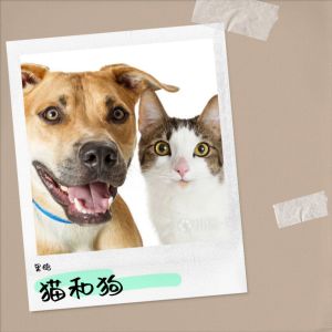 Listen to 猫和狗 (完整版) song with lyrics from 果鸽