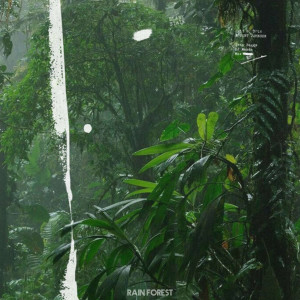 Album Rain Forest oleh Channel Blue