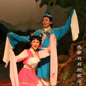 收聽陳瑩的夫妻雙雙把家還歌詞歌曲
