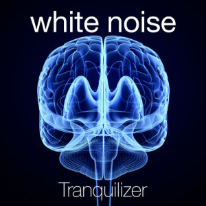 ดาวน์โหลดและฟังเพลง White Noise: Sounds พร้อมเนื้อเพลงจาก White Noise Baby