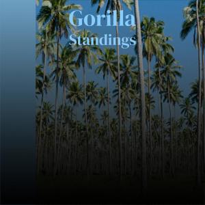 收聽Roderico Toser的Gorilla Standings歌詞歌曲