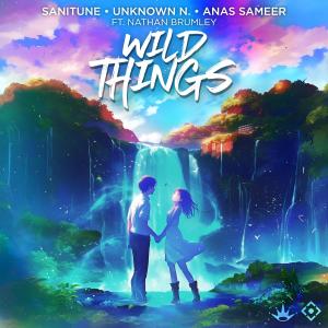 Nathan Brumley的專輯Wild Things (feat. Nathan Brumley)